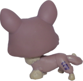 #1158 Corgi